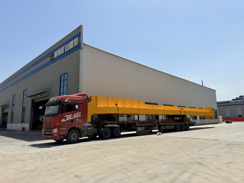 龍佰集團選用我公司QD25/5t，跨度28.5m通用橋式起重機